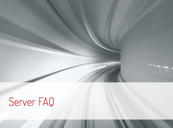 Users can tunnel-like image to view the Puma Scan Pro Server License Frequently Asked Questions